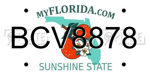 BCV8878 Florida License Plate
