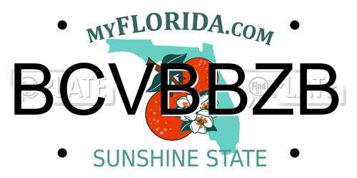 BCVBBZB Florida License Plate