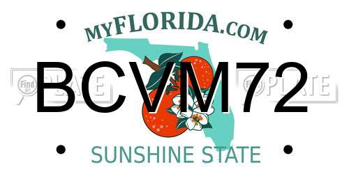 BCVM72 Florida License Plate