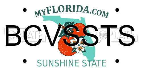 BCVSSTS Florida License Plate
