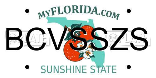 BCVSSZS Florida License Plate