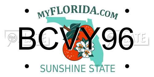 BCVY96 Florida License Plate