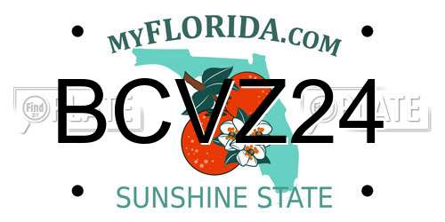 BCVZ24 Florida License Plate