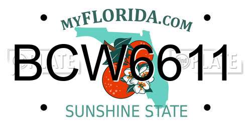 BCW6611 Florida License Plate