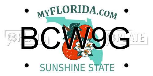 BCW9G Florida License Plate