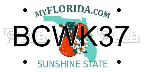 BCWK37 Florida License Plate