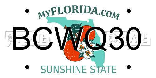 BCWQ30 Florida License Plate