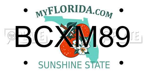 BCXM89 Florida License Plate
