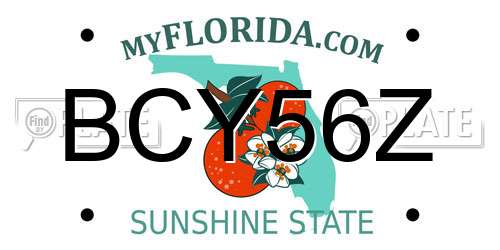 BCY56Z Florida License Plate