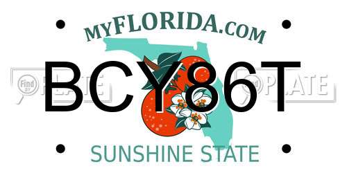 BCY86T Florida License Plate