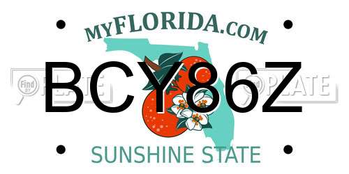 BCY86Z Florida License Plate