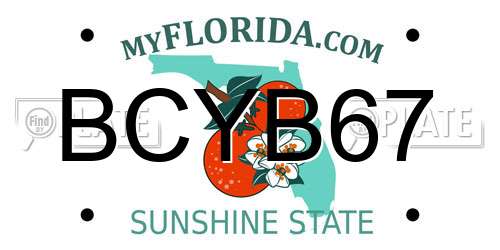 BCYB67 Florida License Plate