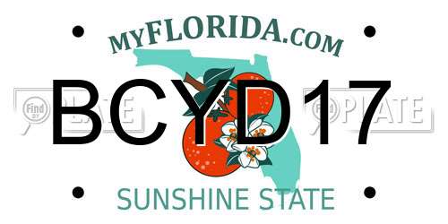 BCYD17 Florida License Plate
