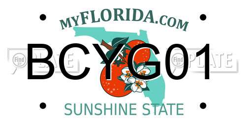BCYG01 Florida License Plate