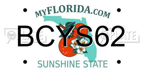 BCYS62 Florida License Plate