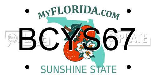 BCYS67 Florida License Plate