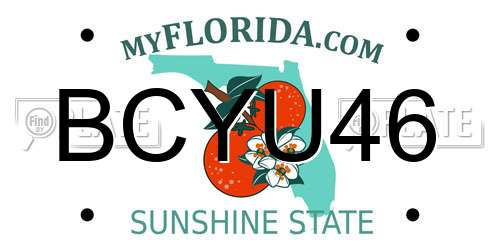 BCYU46 Florida License Plate