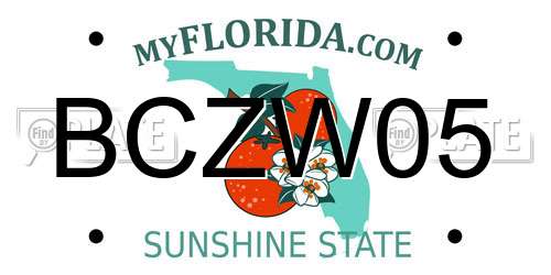 BCZW05 Florida License Plate