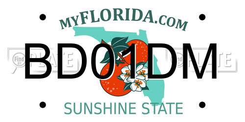 BD01DM Florida License Plate