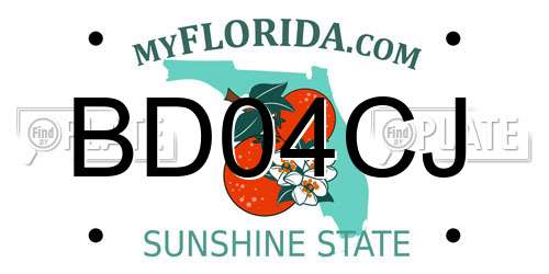 BD04CJ Florida License Plate