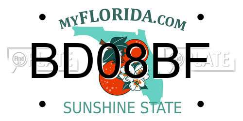 BD08BF Florida License Plate