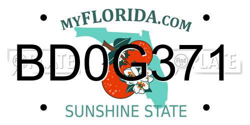 BD0G371 Florida License Plate