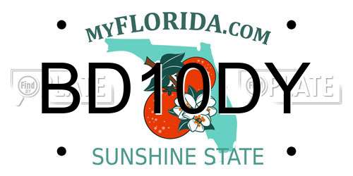 BD10DY Florida License Plate