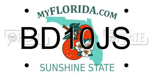 BD10JS Florida License Plate
