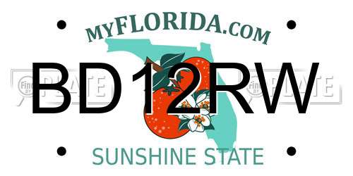 BD12RW Florida License Plate