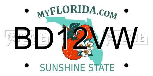 BD12VW Florida License Plate