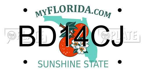 BD14CJ Florida License Plate