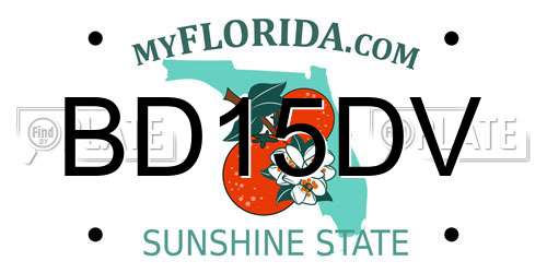 BD15DV Florida License Plate