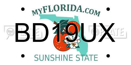 BD19UX Florida License Plate