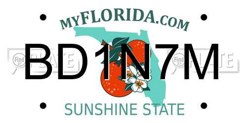 BD1N7M Florida License Plate