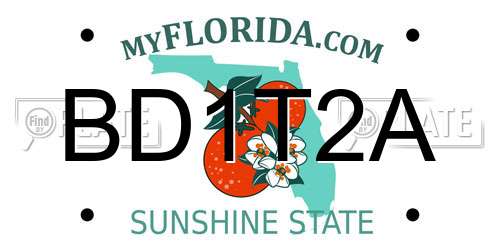 BD1T2A Florida License Plate