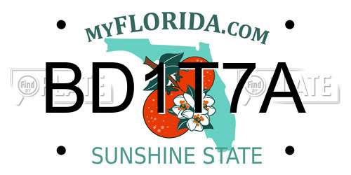 BD1T7A Florida License Plate