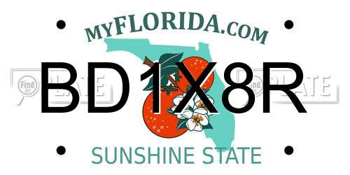 BD1X8R Florida License Plate
