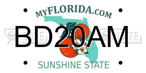 BD20AM Florida License Plate