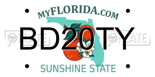 BD20TY Florida License Plate