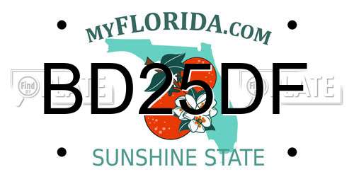 BD25DF Florida License Plate