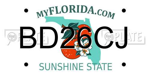 BD26CJ Florida License Plate