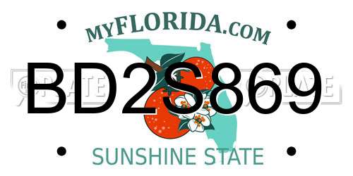 BD2S869 Florida License Plate
