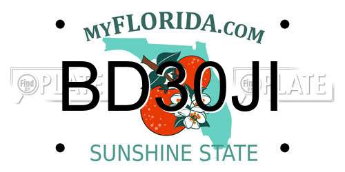 BD30JI Florida License Plate