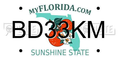 BD33KM Florida License Plate