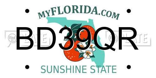 BD39QR Florida License Plate