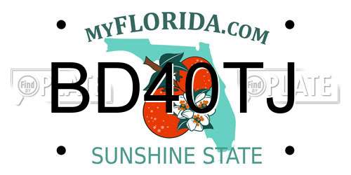 BD40TJ Florida License Plate