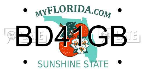 BD41GB Florida License Plate