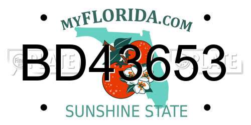 BD43653 Florida License Plate
