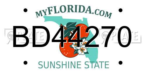 BD44270 Florida License Plate