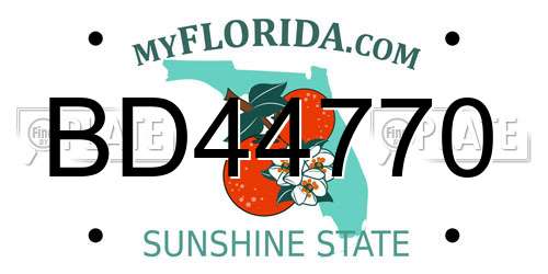 BD44770 Florida License Plate